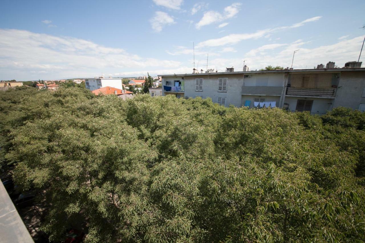 זאדאר Apartman Bordura מראה חיצוני תמונה